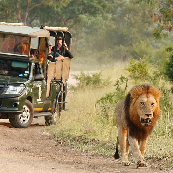 Kruger Park