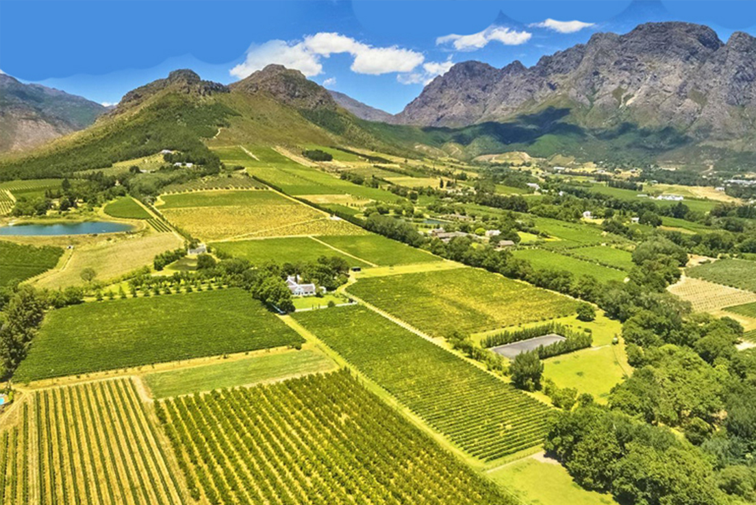 Winery