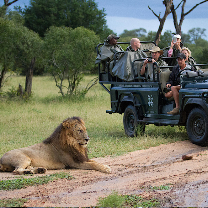 west cape wildlife