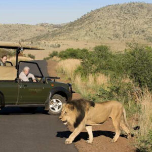 Pilanesberg National Park – North West