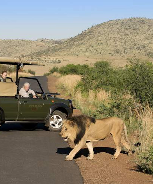 Pilanesberg National Park – North West