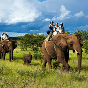 Addo Elephant National Park – Eastern Cape