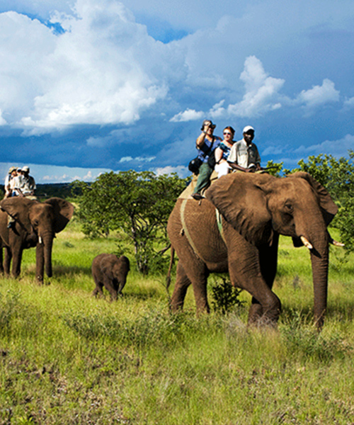 Addo Elephant National Park – Eastern Cape