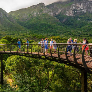 Kirstenbosch National Botanical Garden
