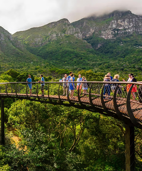 Kirstenbosch National Botanical Garden