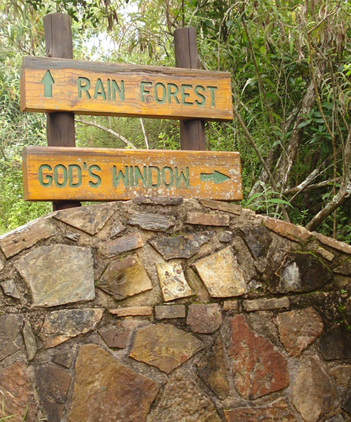 God’s Window – Mpumalanga
