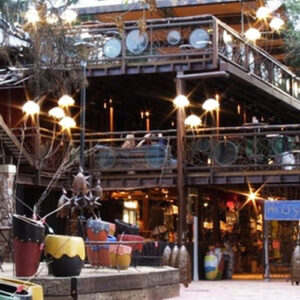 Moyo Zoo Lake – Johannesburg