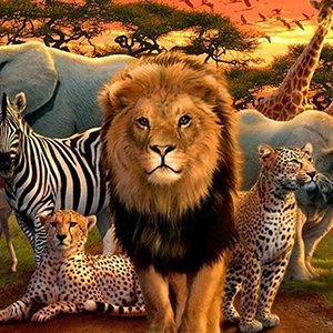 Wildlife
