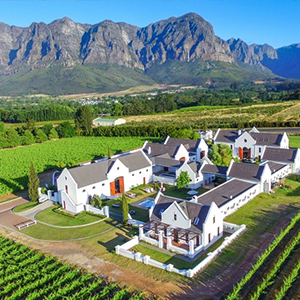 Wine Farms
