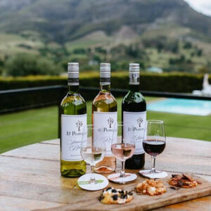 Wine Tasting in Stellenbosch