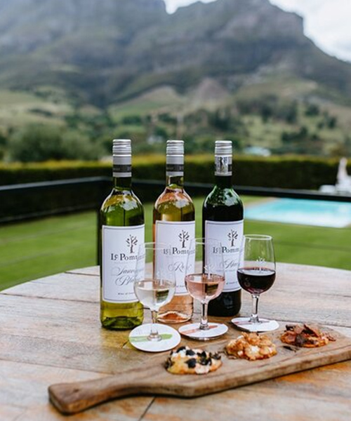 Wine Tasting in Stellenbosch