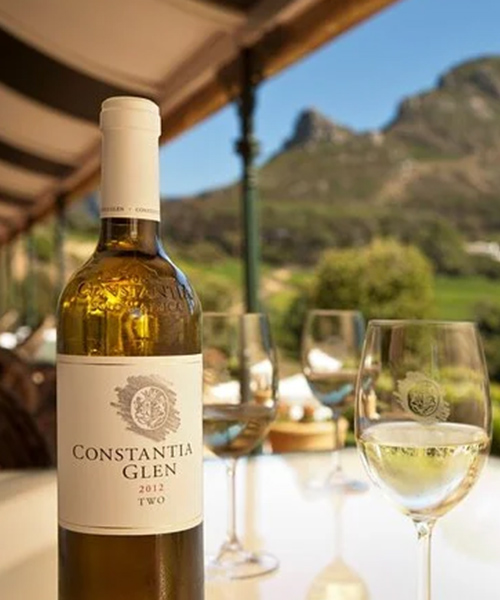 Wine Tasting in Constantia